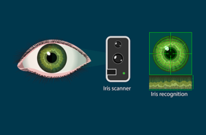 iphone retina scan